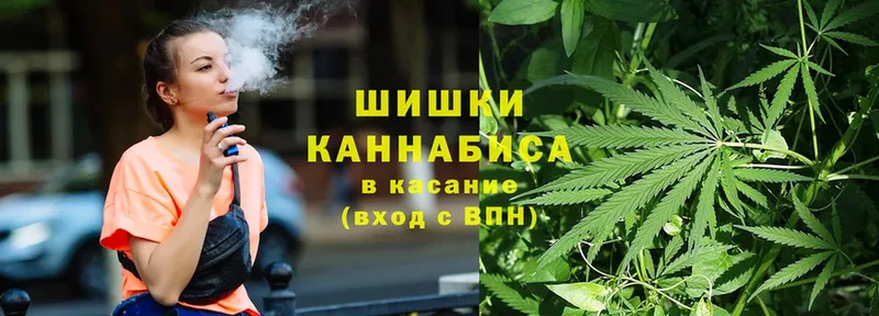 Шишки марихуана THC 21%  Венёв 